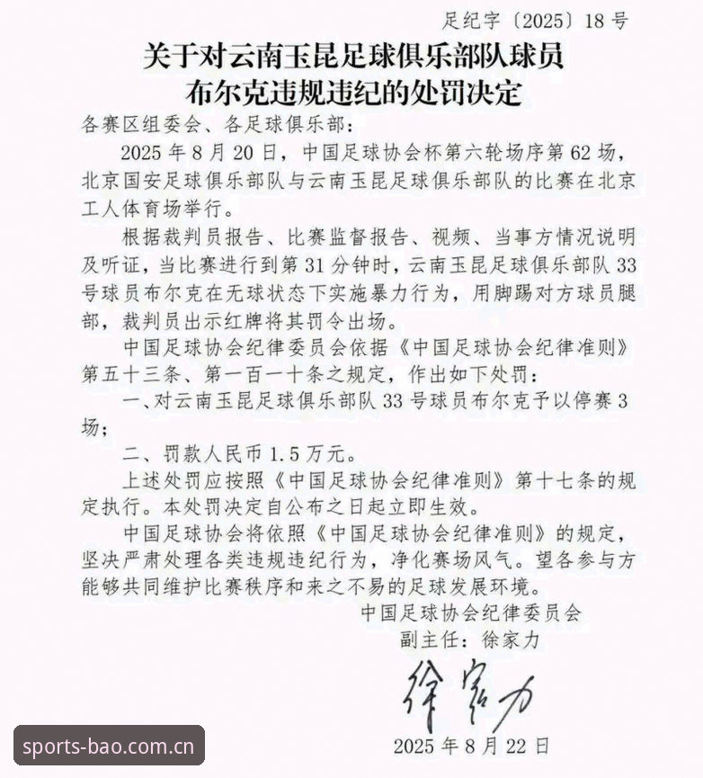 BAO体育更新教程 资深球迷分享:足协第三批禁足名单出炉,BAO体育观赛体验与行业反思